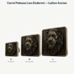 Poignée Carré Palazzo Lion Endormi Laiton Ancien — comparaison des tailles — Holdon Paris