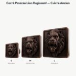 Poignée Carré Palazzo Lion Rugissant Cuivre Ancien — comparaison des tailles — Holdon Paris