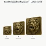 Poignée Carré Palazzo Lion Rugissant Laiton Satiné — comparaison des tailles — Holdon Paris