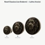 Poignée Rond Classica Lion Endormi Laiton Ancien — comparaison des tailles — Holdon Paris