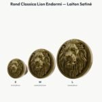 Poignée Rond Classica Lion Endormi Laiton Satiné — comparaison des tailles — Holdon Paris