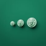 Comparaison des tailles — poignée de meuble Rond Classica Lion Endormi Emeraude Claire — Holdon Paris
