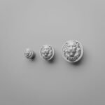 Comparaison des tailles — poignée de meuble Rond Classica Lion Endormi Gris argenté — Holdon Paris