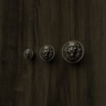 Comparaison des tailles — poignée de meuble Rond Classica Lion Endormi Laiton Ancien — Holdon Paris