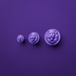 Comparaison des tailles — poignée de meuble Rond Classica Lion Endormi Lilas Sombre — Holdon Paris