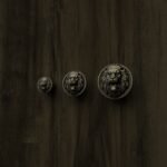 Comparaison des tailles — poignée de meuble Rond Classica Lion Rugissant Laiton Ancien — Holdon Paris