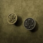 Comparaison des finitions — poignée de meuble Rond Classica Rosace Laiton M — Holdon Paris