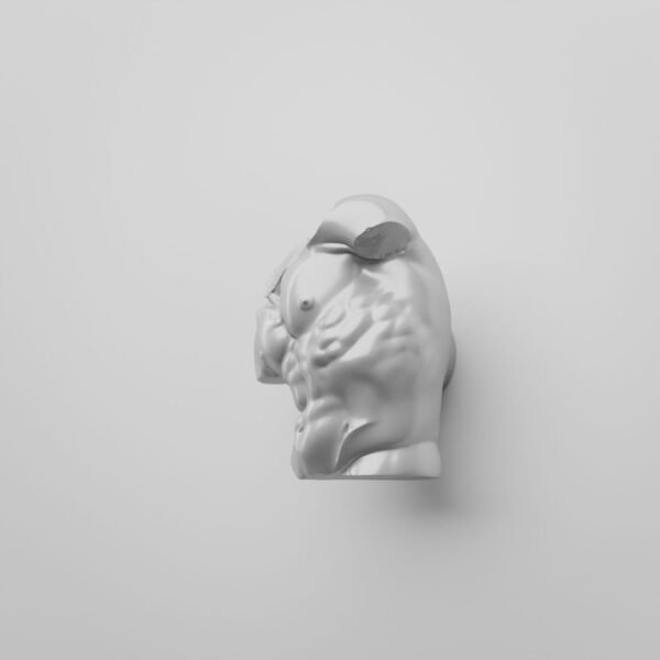Florentine Torso, M, White Snow