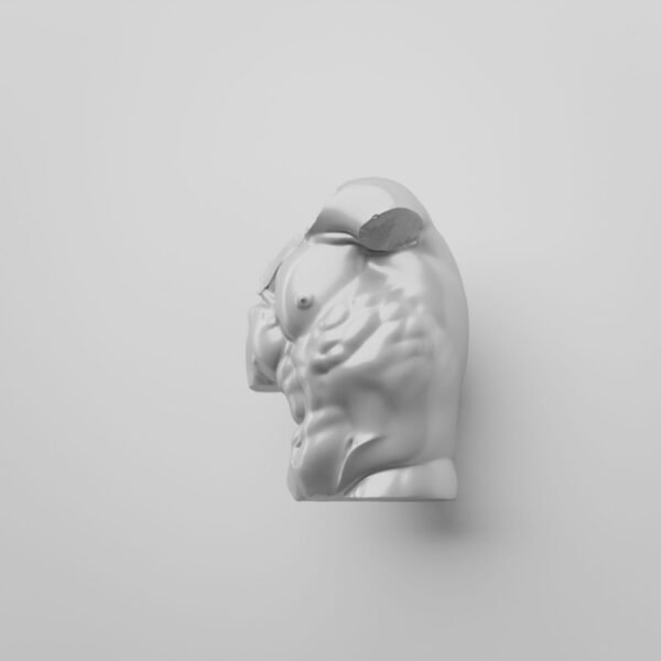 Torse Florentin — L — White Snow