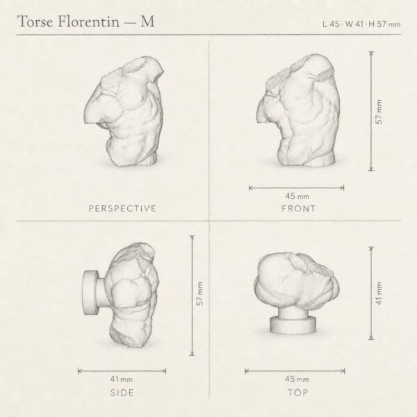 Torse Florentin sketch 3D - Holdon Paris