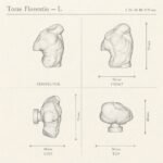 Torse Florentin sketch 3D - Holdon Paris