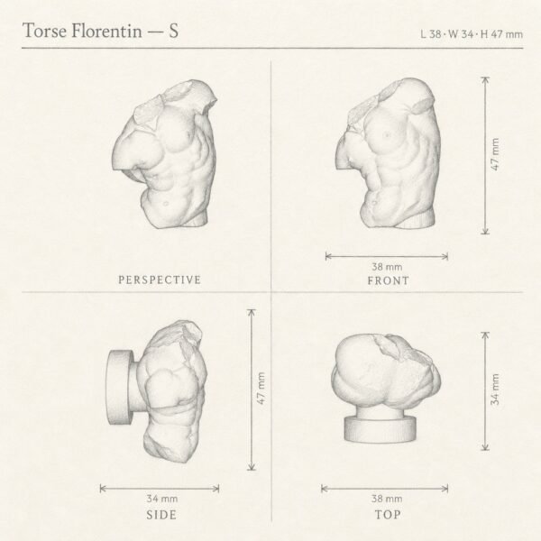 Torse Florentin sketch 3D - Holdon Paris