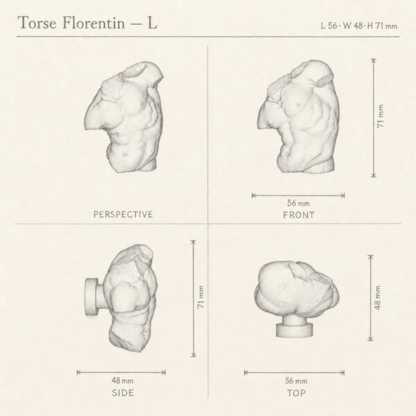 Torse Florentin sketch 3D - Holdon Paris
