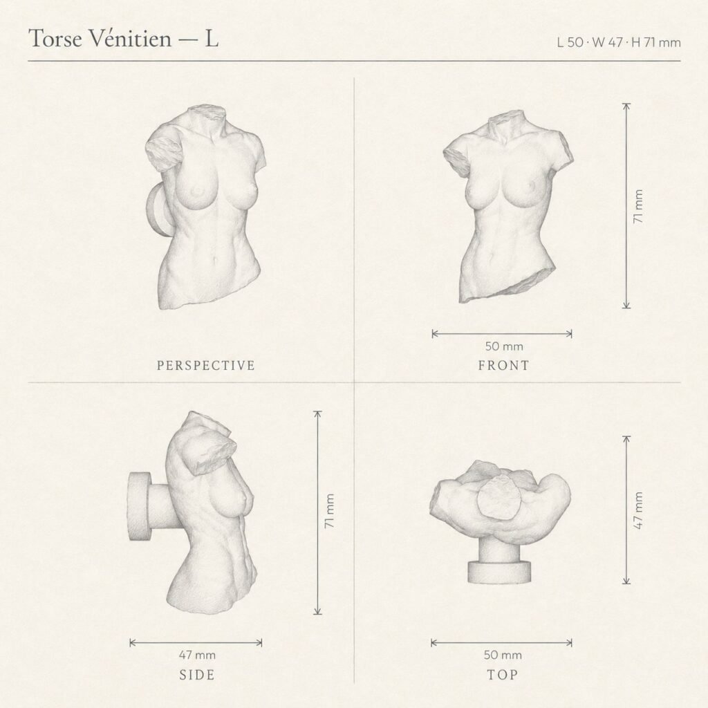 Venetian Torso, Statuary, 3D sketch - Holdon Paris