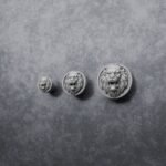 Comparaison des tailles — poignée de meuble Rond Classica Lion Rugissant Aluminium Satiné — Holdon Paris