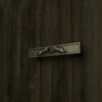 Barra Palazzo, Leone Ruggente, S, Ottone Anticato, video